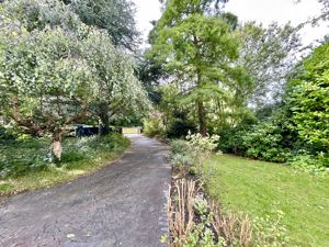 Photo 6- click for photo gallery